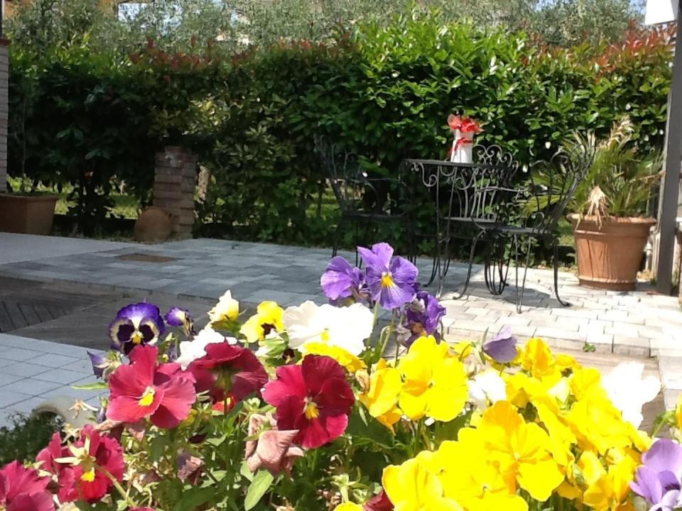 Gambettola Villa Elisa מראה חיצוני תמונה